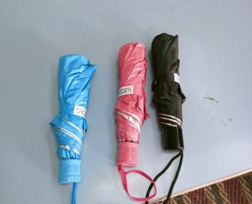 TRAVEL UMBRELLA